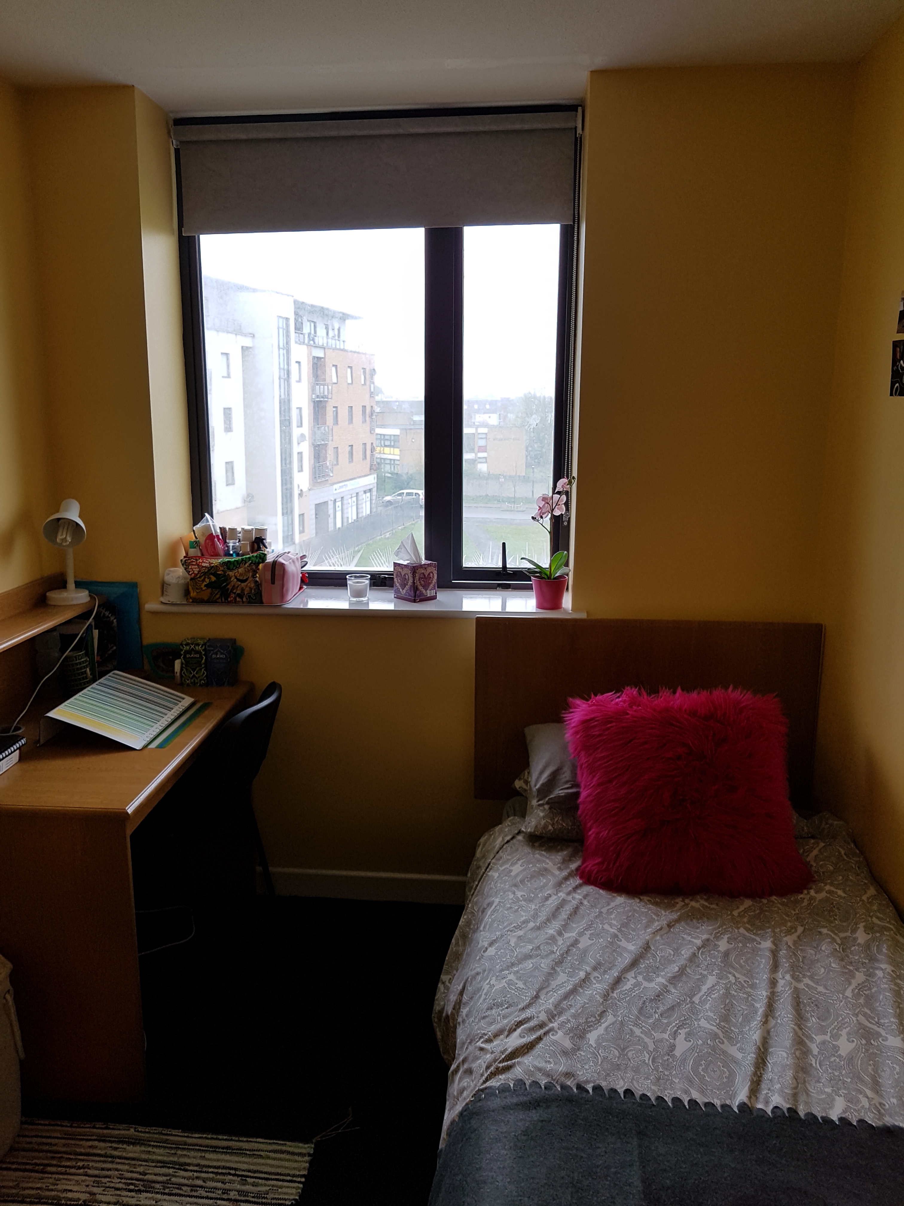 OffCampus Dublin City University