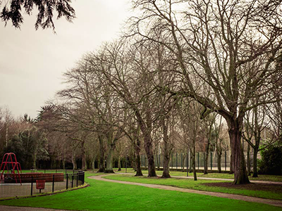 ALBERT COLLEGE PARK