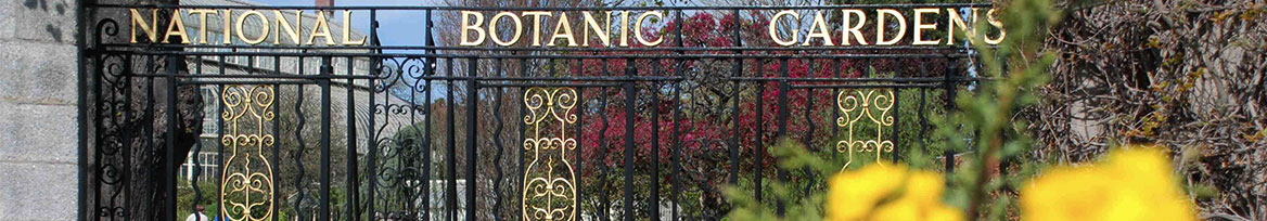 website-event-dcu-botanic-gardens