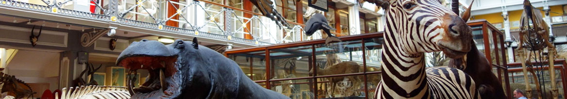 website-event-dcu-natural-history-museum